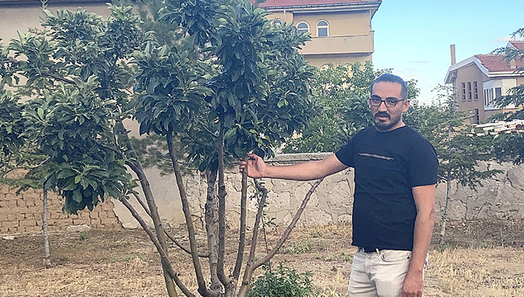 Kulu’da elma ağacı çiçek açtı