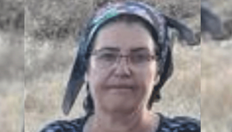 Malatya’da üç çocuk annesi havuzda ölü bulundu