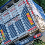 Manyas’ta trafik kazası: 1 yaralı