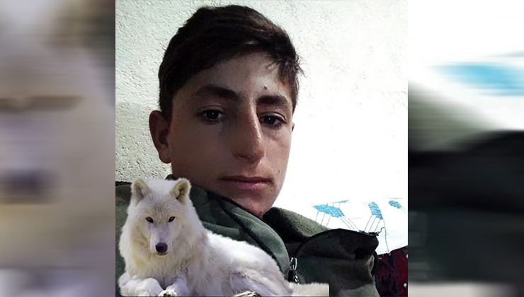 Muş’ta iş kazası: 20 yaşındaki genç hayatını kaybetti