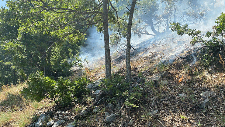 Osmaniye’nin Düziçi ilçesinde orman yangını başladı