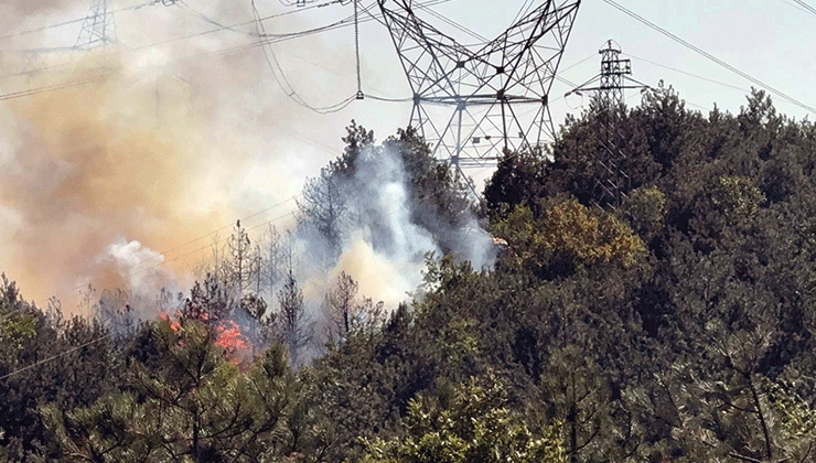 Sakarya sınırında çıkan orman yangınına müdahale sürüyor