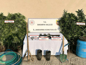 Sakarya’da uyuşturucu operasyonu: 1 tutuklama