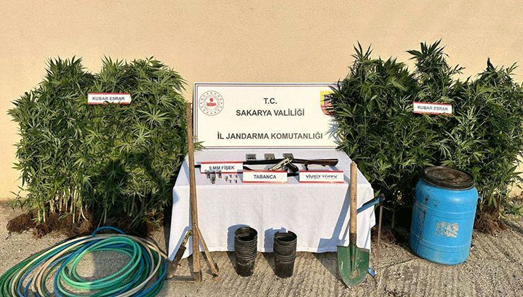 Sakarya’da uyuşturucu operasyonu: 1 tutuklama