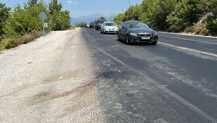 Seydikemer’de otobüsün çarptığı yaya hayatını kaybetti