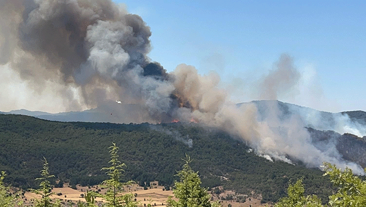 Seyitgazi’de çıkan yangın büyümeye devam ediyor