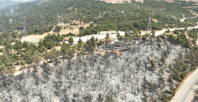 Tarihinin en büyük Gürsu yangınından yürek burkan bu manzaralar kaldı
