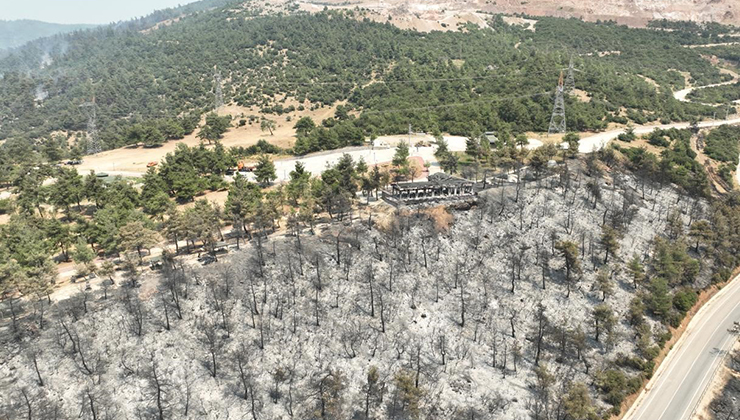 Tarihinin en büyük Gürsu yangınından yürek burkan bu manzaralar kaldı
