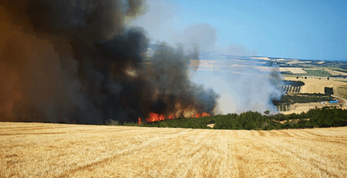 Tekirdağ’da anız yangını ormana sıçradı