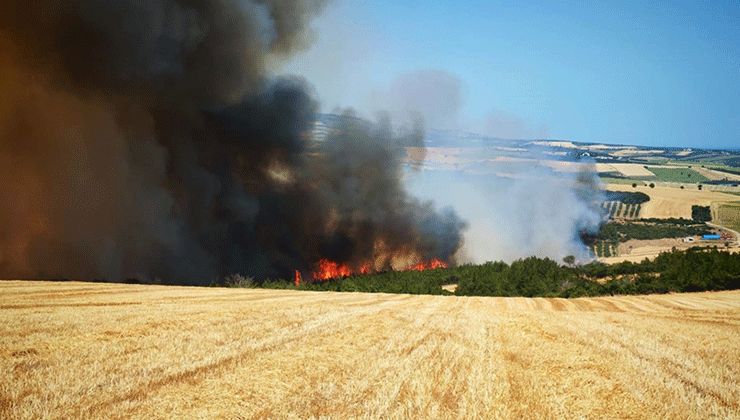 Tekirdağ’da anız yangını ormana sıçradı