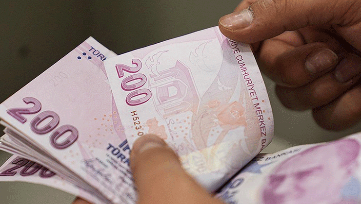 Temmuz ayı Sosyal ve Ekonomik Destek ödemeleri hesaplara yatırıldı