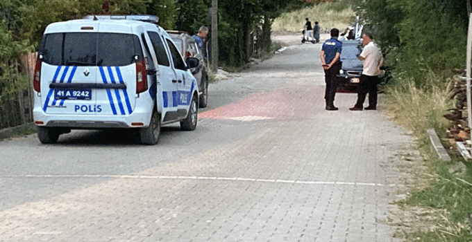 Üvey oğlunu göğsünden bıçakladı