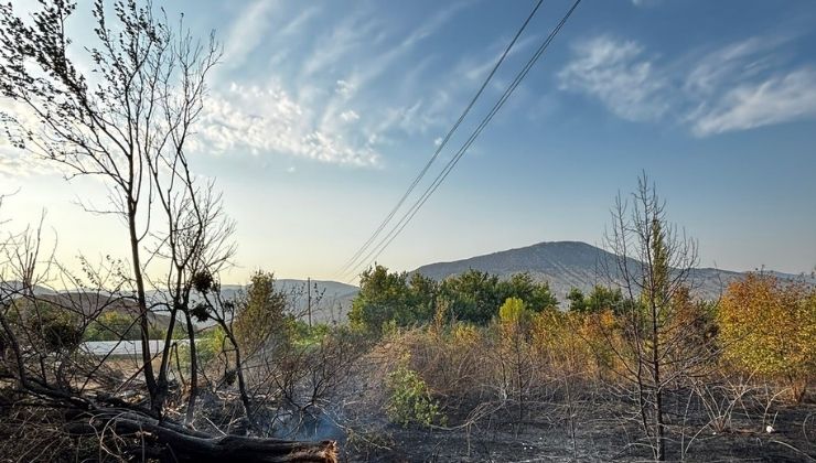 Anız yangınına itfaiye ekipleri müdahale etti