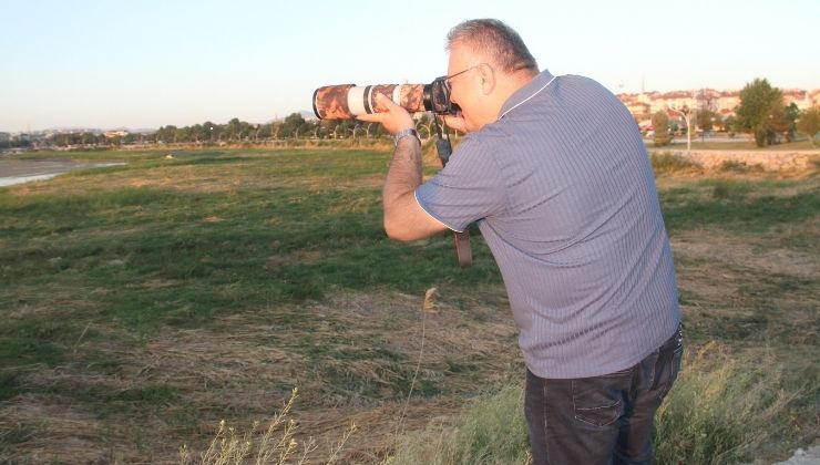 Fotoğraf tutkunu mali müşavir, kuş fotoğrafı için makinesini yanından ayırmıyor