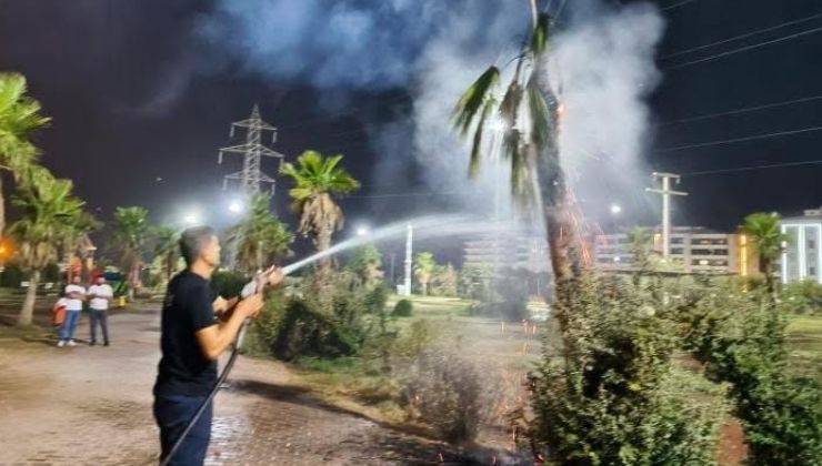 Mardin’de palmiye ağacı ateşe verildi