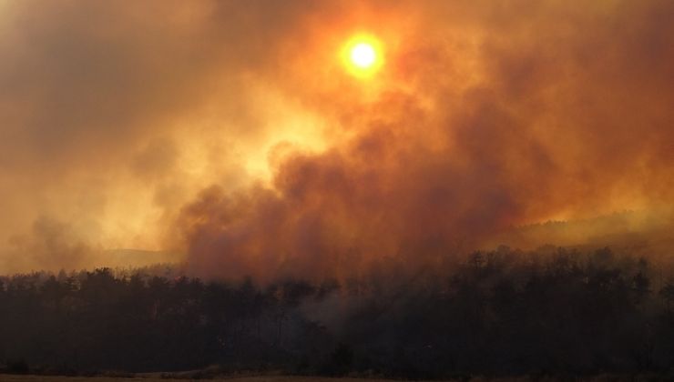 Çanakkale’deki yangında 126 vatandaş tahliye edildi