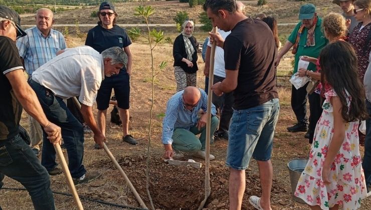 Konya’da ÇEKÜL Kurucu Başkanı Prof. Dr. Metin Sözen adına fidan dikildi