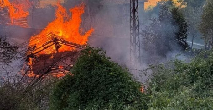 Kastamonu’da alevlere telim olan iki samanlık yandı