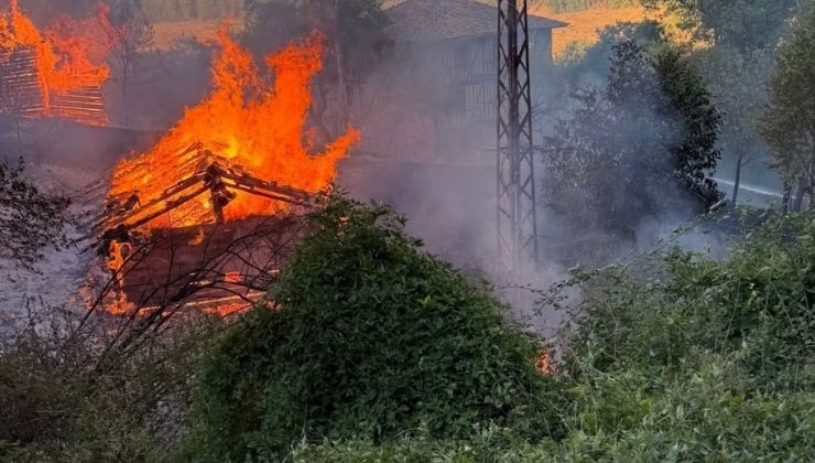 Kastamonu’da alevlere telim olan iki samanlık yandı