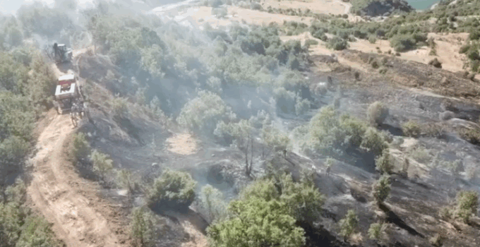 Ormanlık alanda çıkan yangın büyümeden söndürüldü
