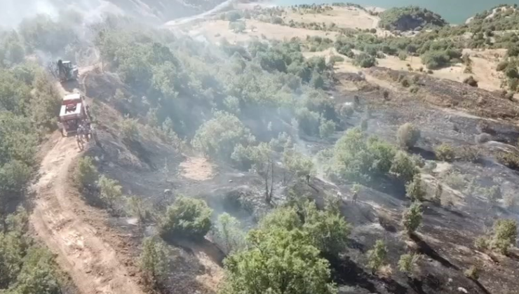 Ormanlık alanda çıkan yangın büyümeden söndürüldü