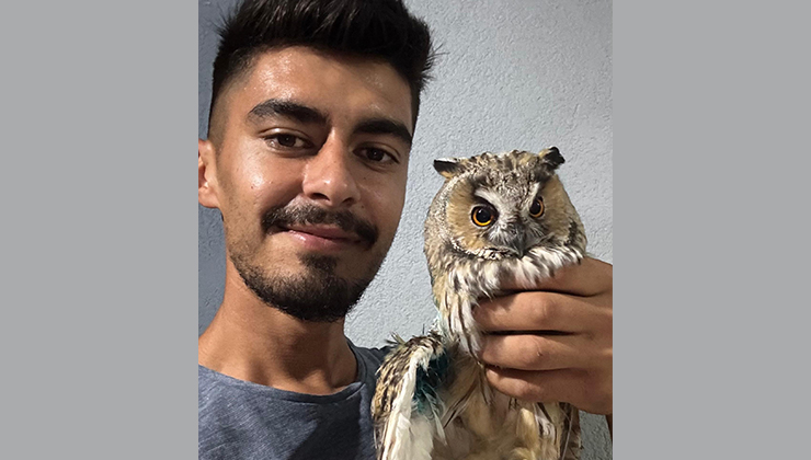 Karapınar’da tellerde yaralanan kulaklı orman baykuşu kurtarıldı