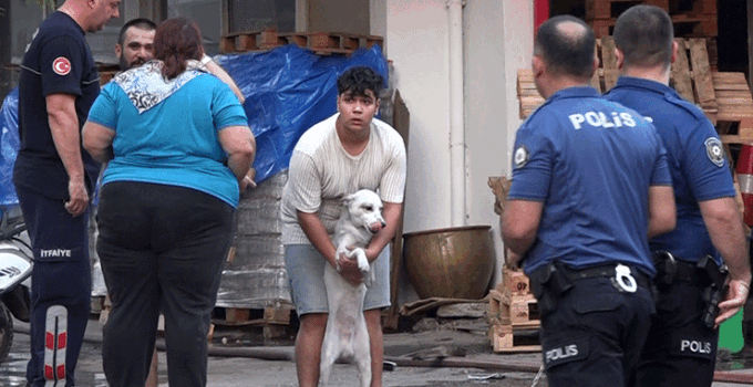 Yangın çıkan evdeki 2 köpeği itfaiye kurtardı