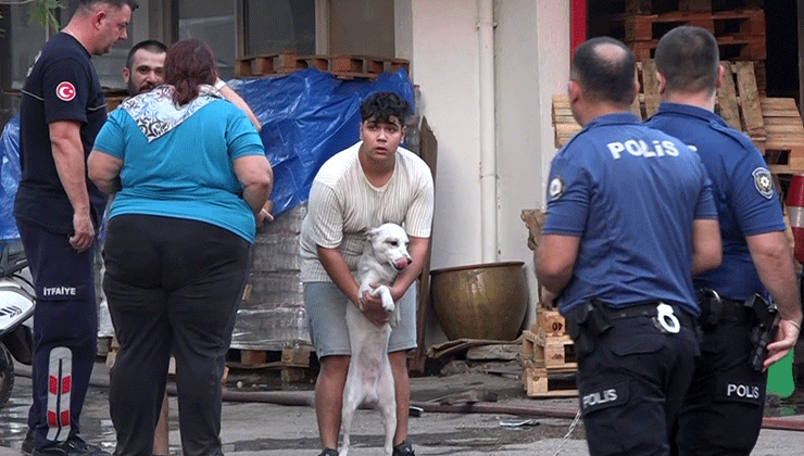 Yangın çıkan evdeki 2 köpeği itfaiye kurtardı