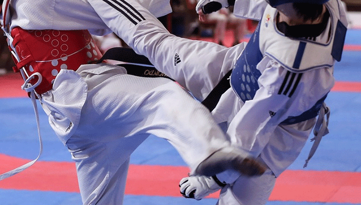 Doğanhisar’da taekwondo şöleni yapılacak