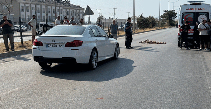 Eski Muğla Milletvekili Ali Boğa kazada hayatını kaybetti
