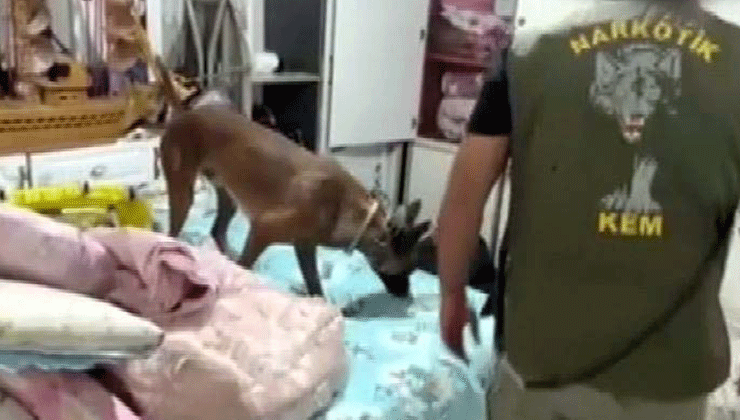 Gaziantep’te 7 kilo skunk ele geçirildi; 1 tutuklama