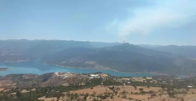 Karaman’da orman yangını