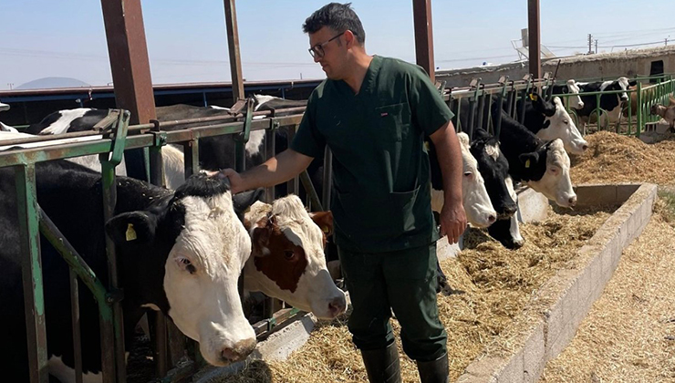 Karapınar’da büyükbaş hayvanlar aşılanıyor
