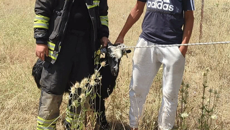 Konya’da kuyuya düşen keçi itfaiye ekiplerince kurtarıldı