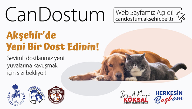 Konya’da sahipsiz hayvan kalmayacak