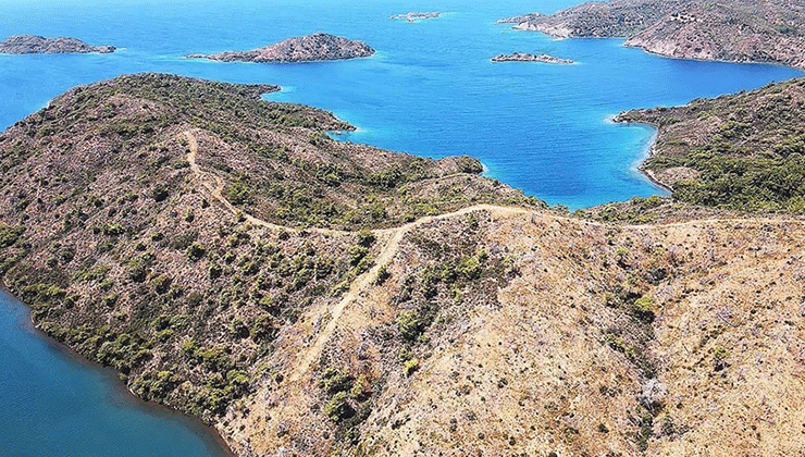 Marmaris’te yanan ormanlık alanlar yeniden yeşeriyor