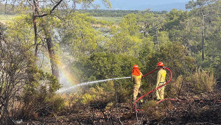 Muğla’daki ormanı yangını 2,5 saate kontrol altına alındı
