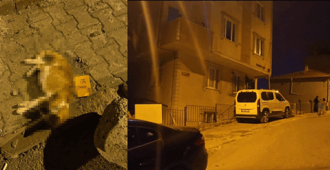 Sancaktepe’de alacak verecek kavgasında kurşunlar ev ve araçlara isabet etti; kedi öldü