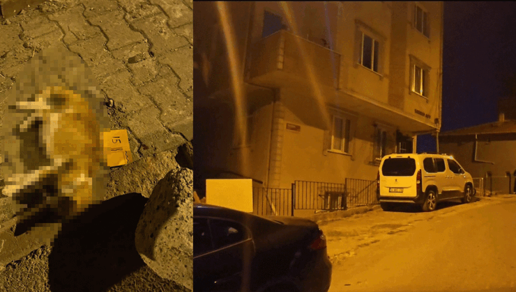 Sancaktepe’de alacak verecek kavgasında kurşunlar ev ve araçlara isabet etti; kedi öldü