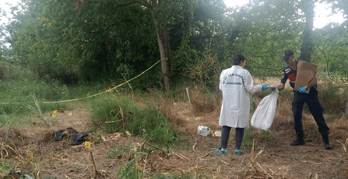 Tarlada bulunan kafatası ve kemikler jandarmayı harekete geçirdi