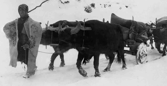 Torosları aşan gönüllü: Konyalı Mehmet Çavuş’un hikâyesi