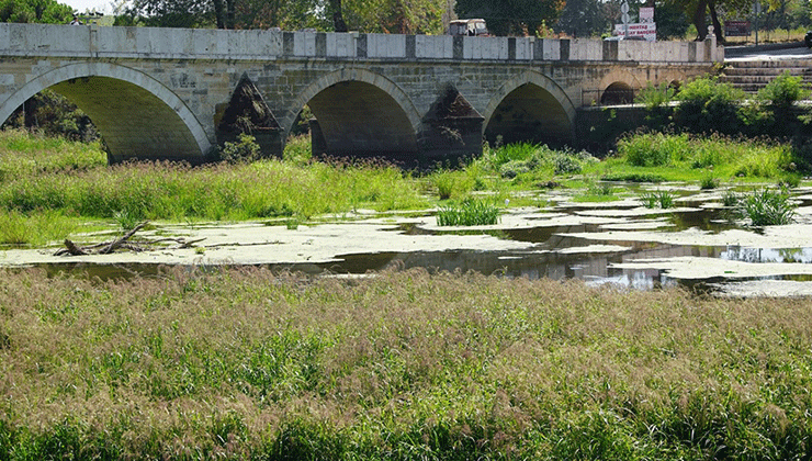 Tunca Nehri’nde kuraklık nedeniyle su akışının durduğu alanlar ot öbekleriyle kaplandı