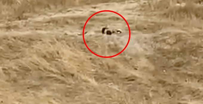 Uygunsuz hareketler sergileyen iki genç gözaltına alındı