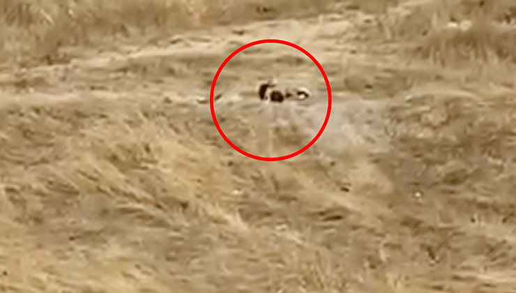 Uygunsuz hareketler sergileyen iki genç gözaltına alındı