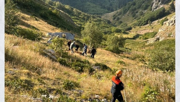 Yamaçtan düşerek mahsur kalan inek AFAD ekiplerince kurtarıldı