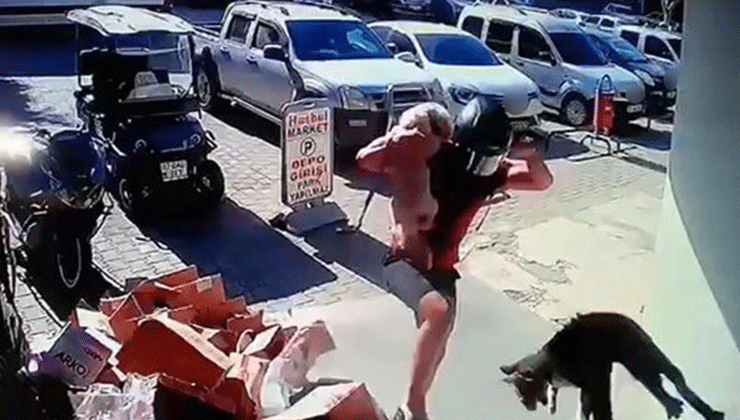 Alanya’da hayvana eziyet cezasız kalmadı