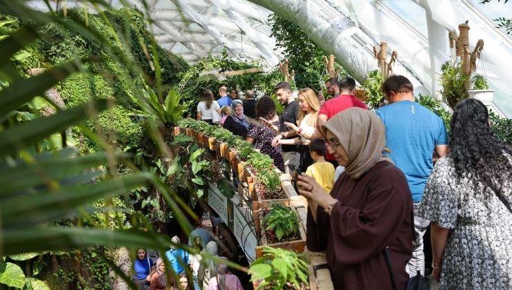 Başkan Pekyatırmacı: “Herkesi kelebeklerin mucizevi yaşamına tanıklık etmeye davet ediyoruz”
