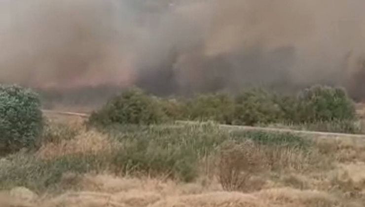 Beypazarı’nda otluk alanda yangın