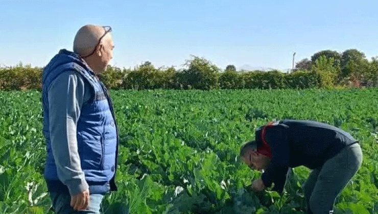 Beyşehir’de araziler incelendi