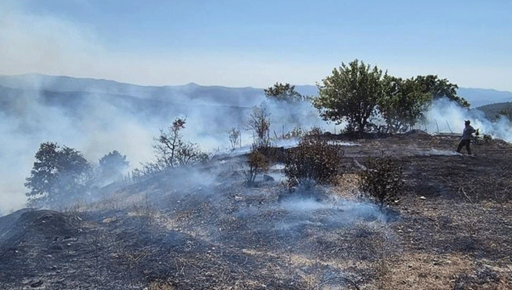 Bursa’da ormanlık alanda çıkan yangına müdahale ediliyor